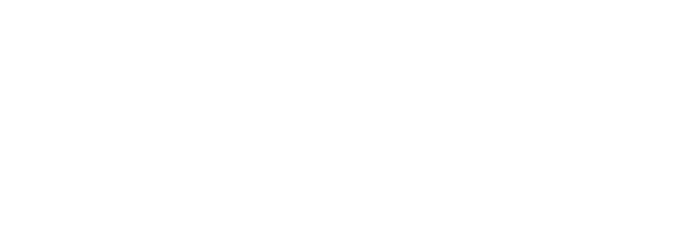 1741711736_neurosul_branco_png